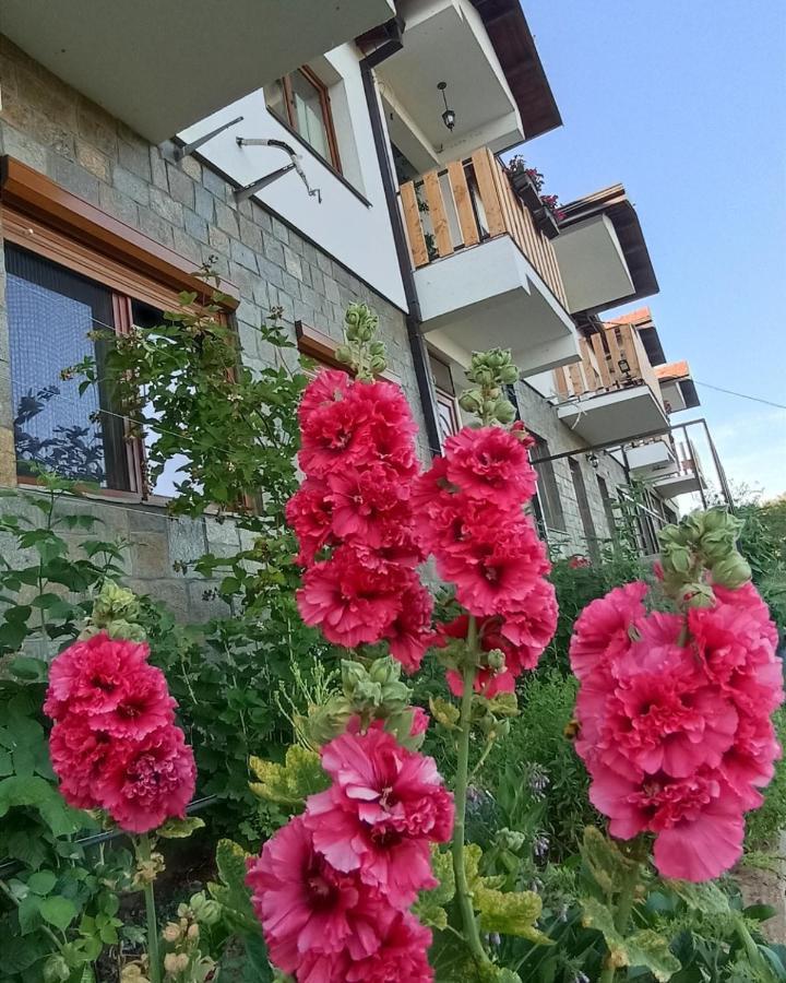 Lesnovo House Tomevski Extérieur photo